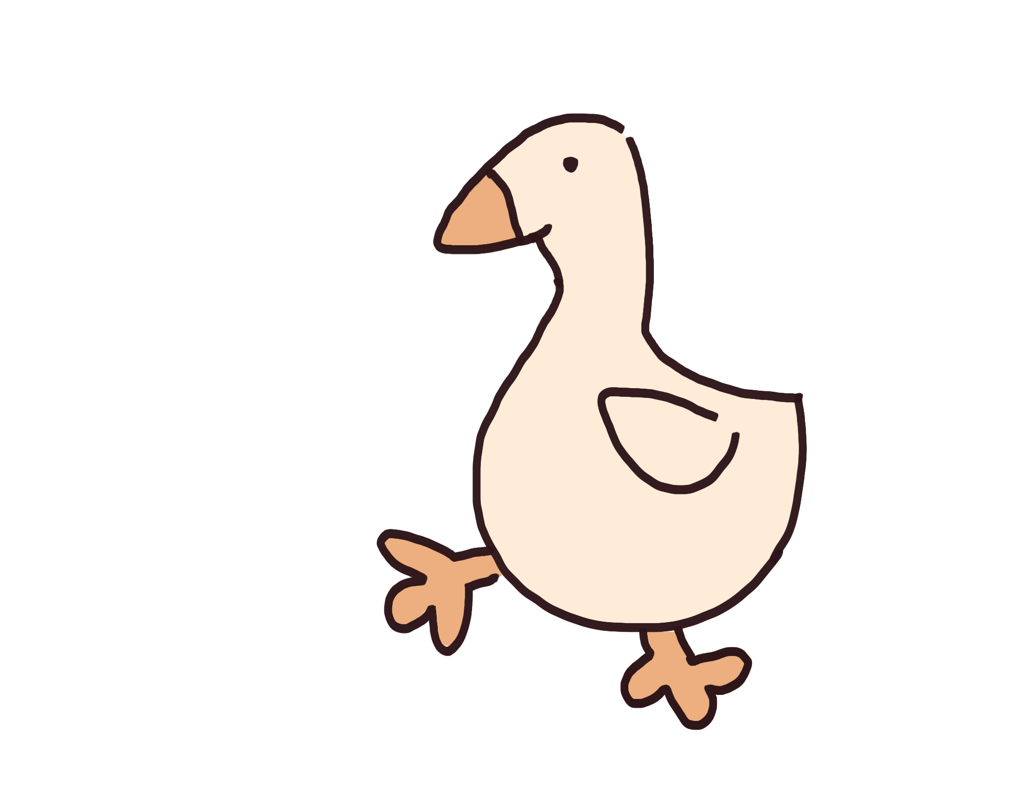 Duck decoration